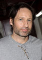 2010/03/14 - David 'The Miracle Worker' on Broadway at The Circle [HQ] - david-duchovny photo