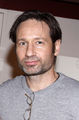 2010/03/14 - David 'The Miracle Worker' on Broadway at The Circle [HQ] - david-duchovny photo