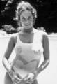 Catherine Bach - fabulous-female-celebs-of-the-past photo