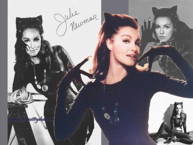 wallpaper catwoman. Catwoman (1)