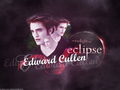 edward-cullen - Edward  wallpaper