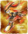 Evil or Nice? In my oppinion nice - shadow-the-hedgehog photo