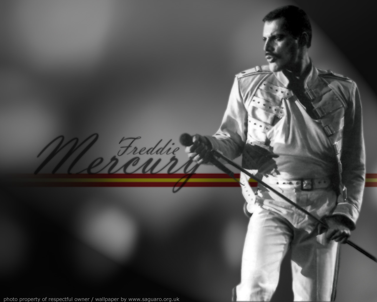 Freddie Mercury フレディ マーキュリー 壁紙 ファンポップ