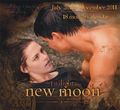 New 'New Moon' Calendar image - jacob-and-bella photo