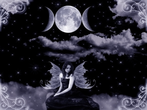  Night Fairy