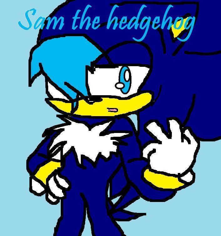 Sam-the-hedgehog-w-shadow-the-hedgehog-10968672-706-756.jpg