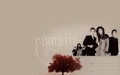 the-vampire-diaries-tv-show - TVD Cast Wallpaper wallpaper