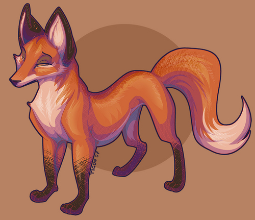  amine rubah, fox