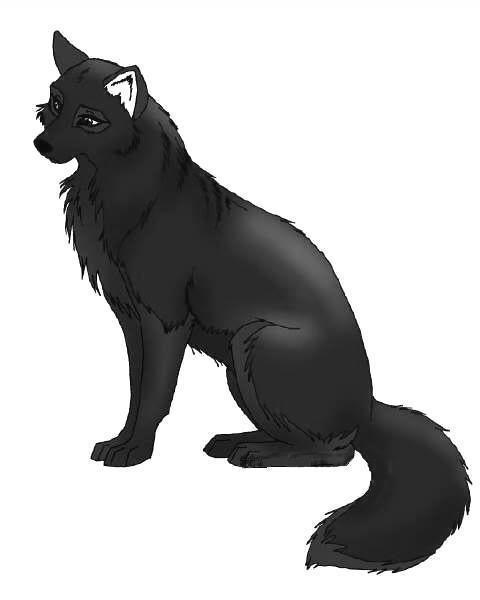 anime wolf pack. One named Wolf#39;s Rain