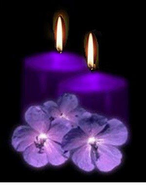 pretty purple candels - candles photo
