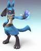  the look real Lucario!