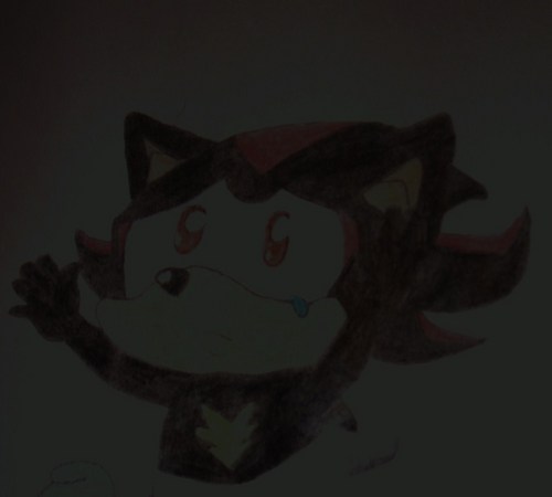  Baby Shadow ^^