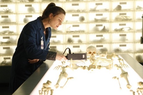  BONES（ボーンズ）-骨は語る- - 5x16 The Parts in the Sum of the Whole