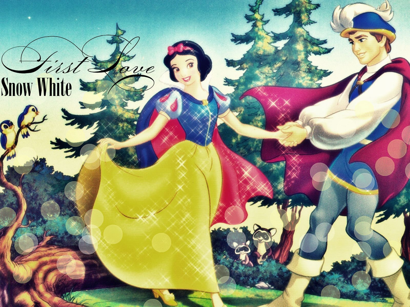 http://images2.fanpop.com/image/photos/11000000/Disney-Princess-Snow-White-disney-princess-11055077-1600-1200.jpg