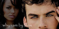 Fanfic banner - Why I am - damon-and-bonnie fan art