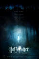 Harry Potter and the Deathly Hallows part 1 - harry-potter photo