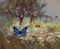 Pretty Butterflies,Animated - butterflies fan art