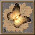 Pretty Light - butterflies fan art