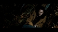 Screencaps of Bella in the woods [NewMoon] - twilight-series photo