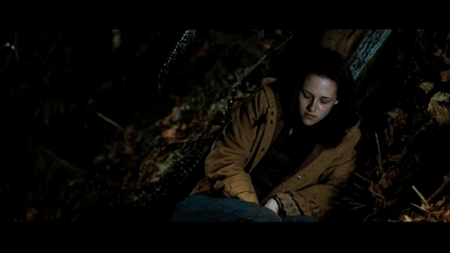  Screencaps of Bella in the woods [NewMoon]