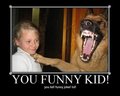 So Funny........lol - dogs photo
