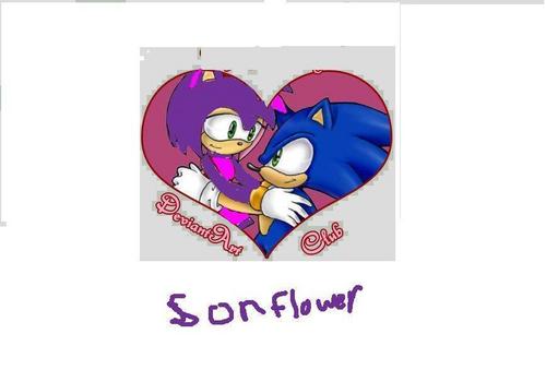  Sonic and цветок