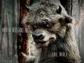 where-the-wild-things-are - The Bull wallpaper