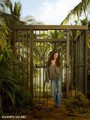 evangeline lilly - New Season 6 Cast Promotional Photos  - lost photo
