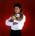 <3 Michael so lovely  - michael-jackson photo