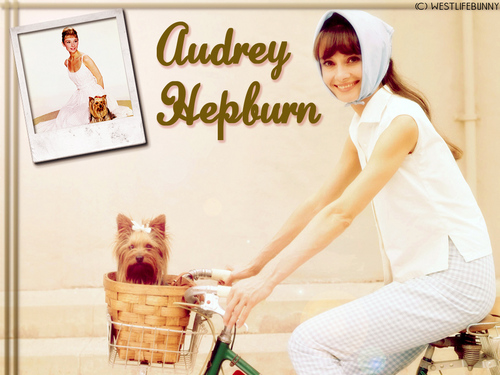 Audrey Wallpapers