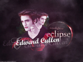 Edward And bella  - twilight-series wallpaper