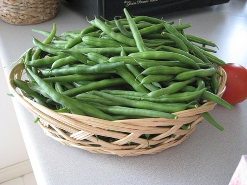  Green Beans