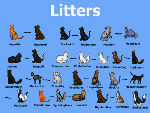 Litters of MidnightClan Cats (photo 1)