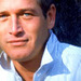 Paul Newman - paul-newman icon