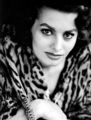 Sophia Loren  - sophia-loren photo