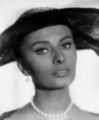 Sophia Loren  - sophia-loren photo