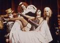 The transvestites - the-rocky-horror-picture-show photo