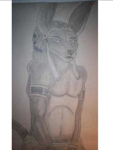  another anubis drawing