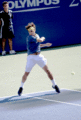 federer - tennis photo