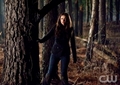1X17 Let the Right One In Stills  - the-vampire-diaries-tv-show photo
