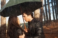 1x17 - Let the Right One In - damon-and-elena photo