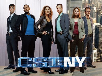  CSI:科学捜査班 New York
