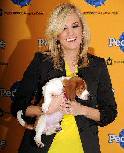 Carrie At The 6th Annual Pedigree Adoption Drive!