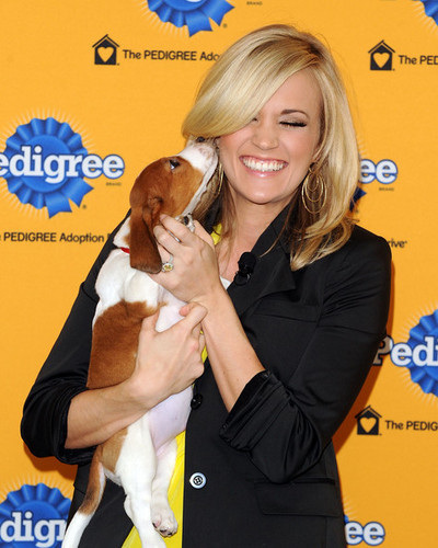  Carrie At The 6th Annual Pedigree Adoption Drive!