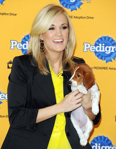 Carrie At The 6th Annual Pedigree Adoption Drive!
