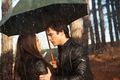 Damon and Elena 1x17 - the-vampire-diaries photo