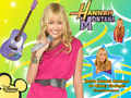 Disney Channel Summer of Stars- Hannah Montana -all new season 4-coming this summer along!!!! - hannah-montana wallpaper
