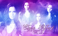 the-vampire-diaries-tv-show - Elena Gilbert wallpaper