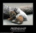 Friendship - random photo