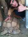 Matthew and Tortoise  - matthew-gray-gubler photo